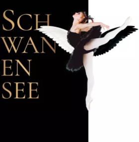 Bild: 07.12.2021 - Schwanensee